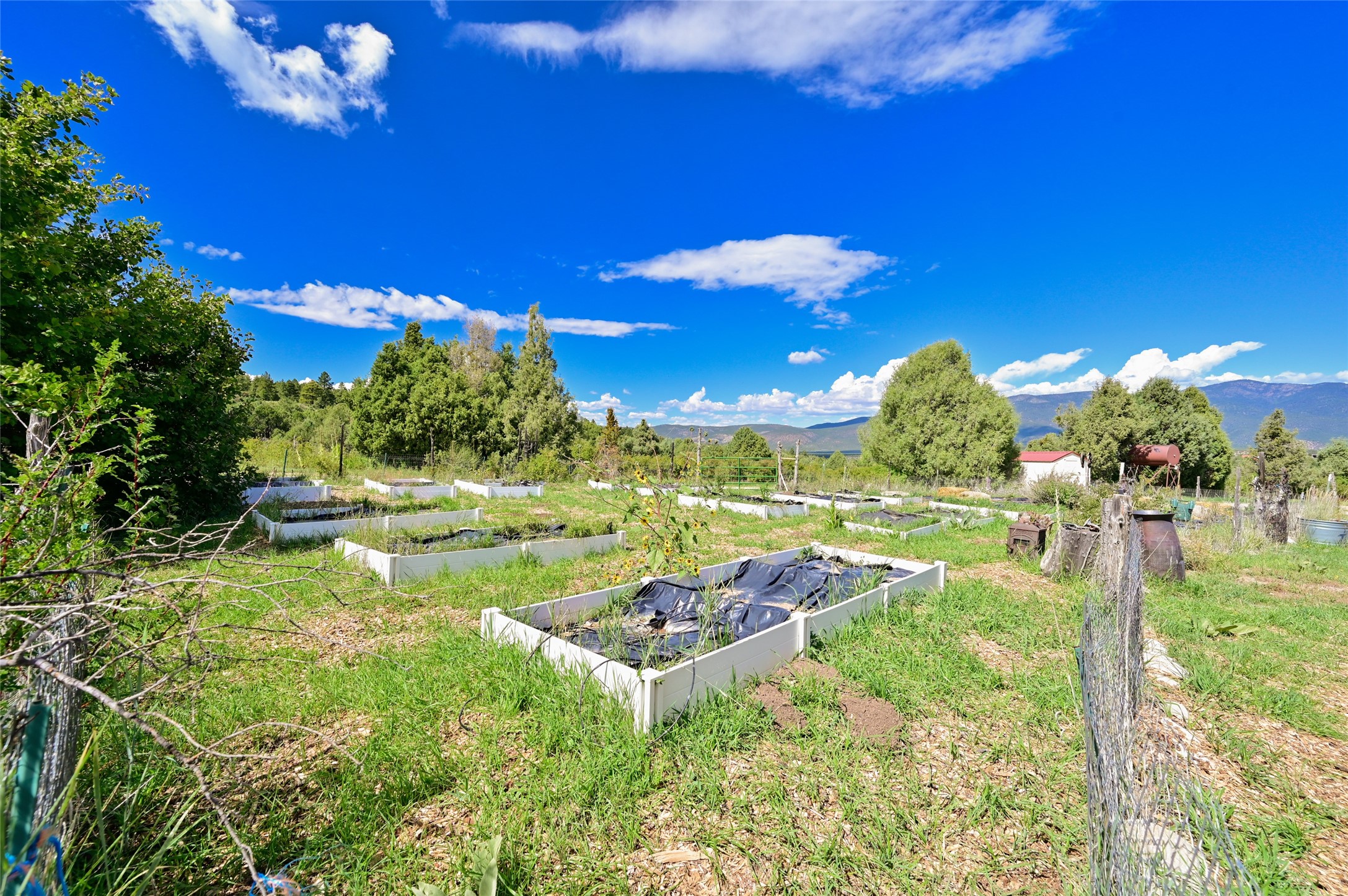 157 Pacheco Road Llano, NM 87543 - Photo 69 of 94