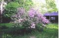 New Boston Road Tolland, MA 01034 - Photo 1 of 1 a view of yard