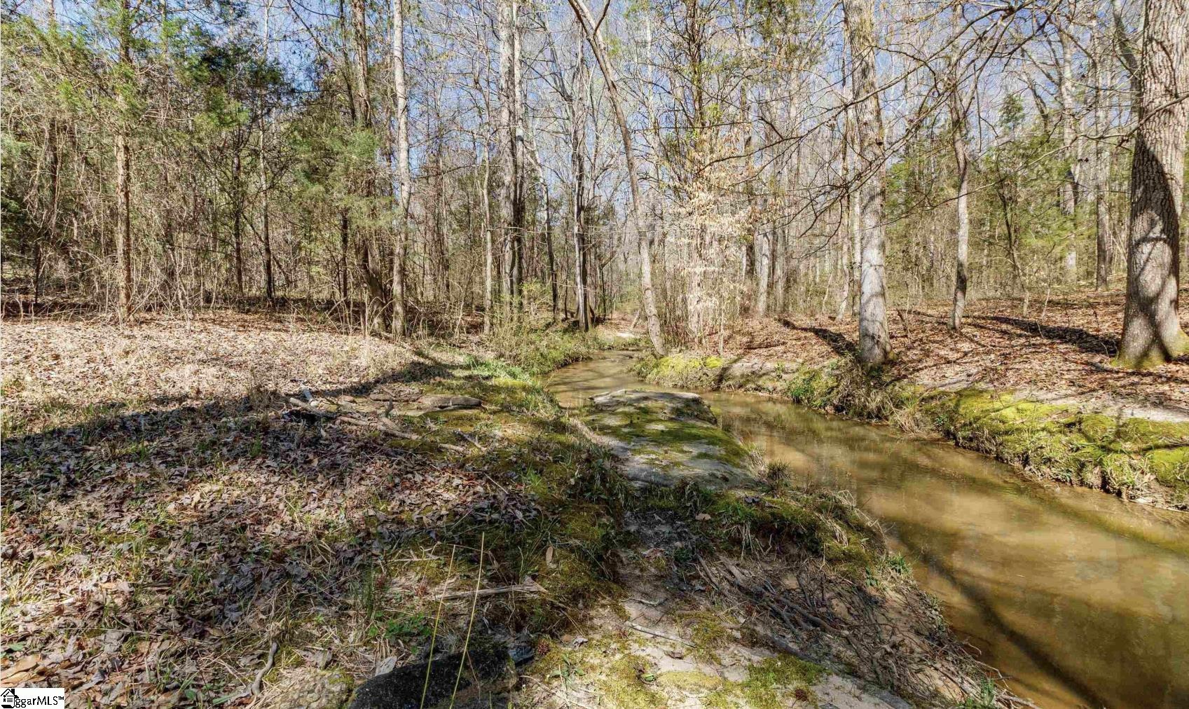 430 Wilson Bridge Road Simpsonville, SC 29680 - Photo 3 of 11