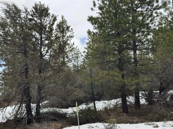 a view of covered with snow