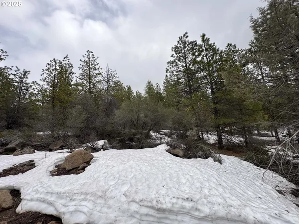 a view of a backyard with snow on the road