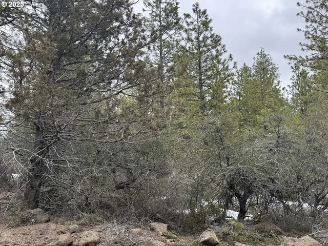 $15,000 | Bunting Way, Unit 32, Bonanza, OR 97623