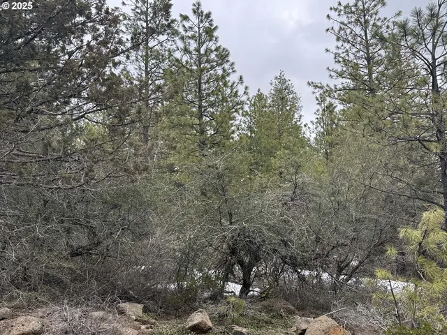 $15,000 | Bunting Way, Unit 32, Bonanza, OR 97623