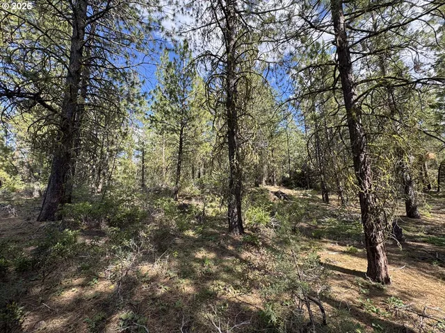 $15,000 | Bunting Way, Unit 32, Bonanza, OR 97623