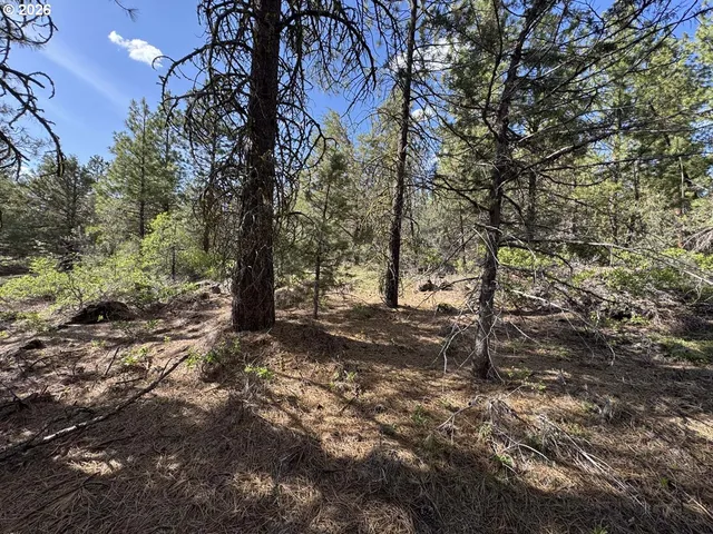 $15,000 | Bunting Way, Unit 32, Bonanza, OR 97623