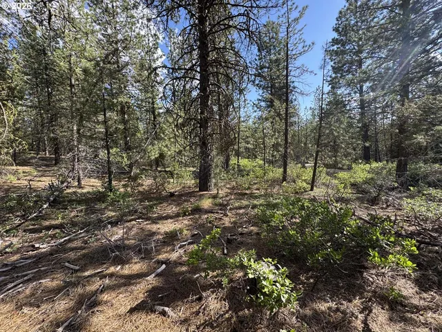 $15,000 | Bunting Way, Unit 32, Bonanza, OR 97623