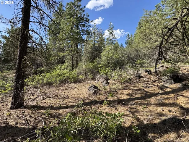 $15,000 | Bunting Way, Unit 32, Bonanza, OR 97623