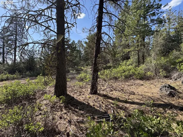 $15,000 | Bunting Way, Unit 32, Bonanza, OR 97623