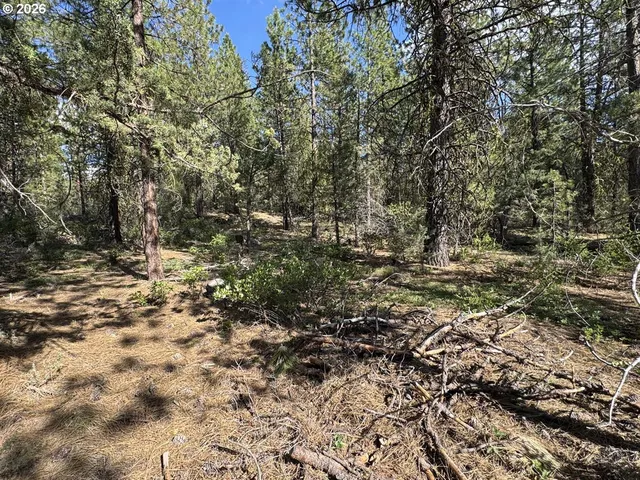 $15,000 | Bunting Way, Unit 32, Bonanza, OR 97623