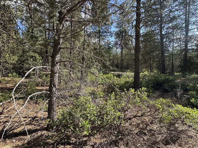 $15,000 | Bunting Way, Unit 32, Bonanza, OR 97623