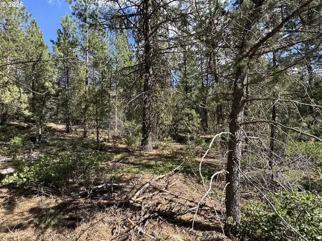 $15,000 | Bunting Way, Unit 32, Bonanza, OR 97623