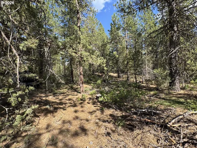 $15,000 | Bunting Way, Unit 32, Bonanza, OR 97623