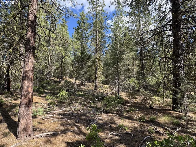 $15,000 | Bunting Way, Unit 32, Bonanza, OR 97623