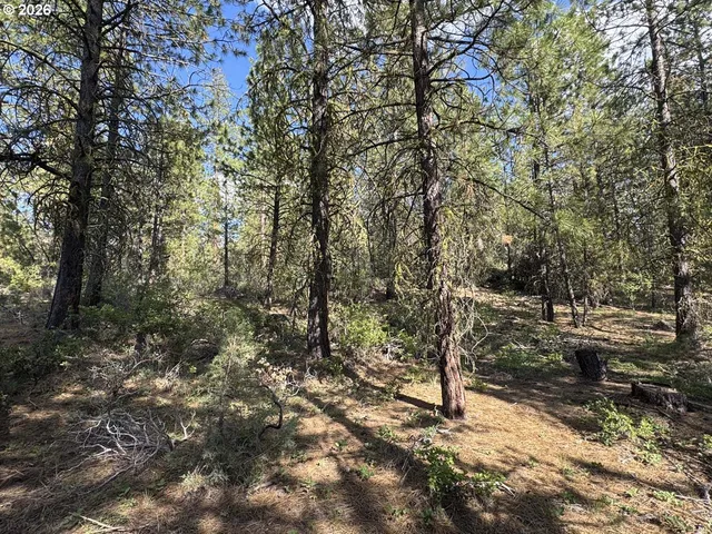 $15,000 | Bunting Way, Unit 32, Bonanza, OR 97623