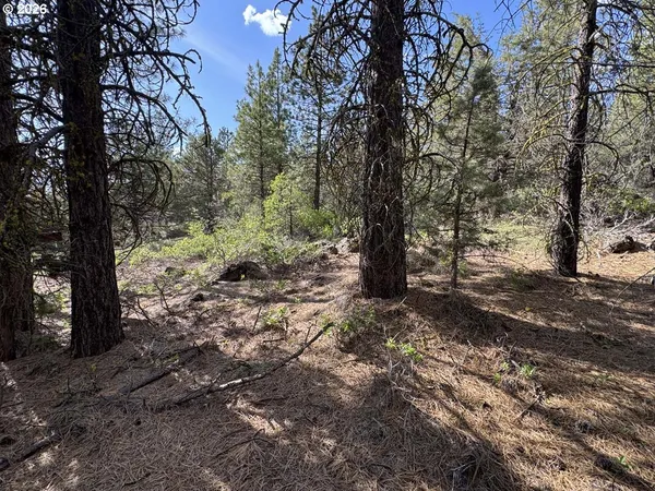 $15,000 | Bunting Way, Unit 32, Bonanza, OR 97623