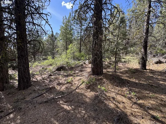 $15,000 | Bunting Way, Unit 32, Bonanza, OR 97623