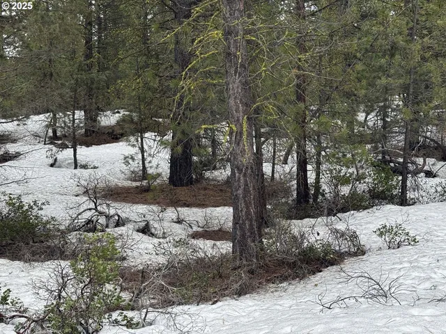 $15,000 | Bunting Way, Unit 32, Bonanza, OR 97623