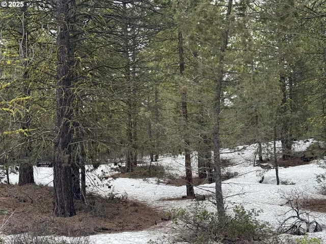 $15,000 | Bunting Way, Unit 32, Bonanza, OR 97623