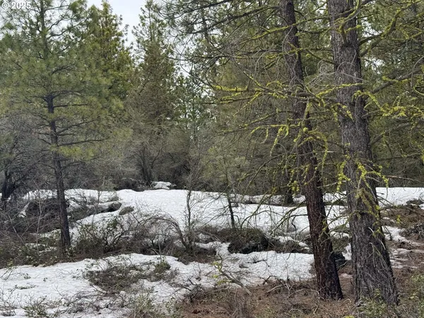 a view of a yard covered in snow