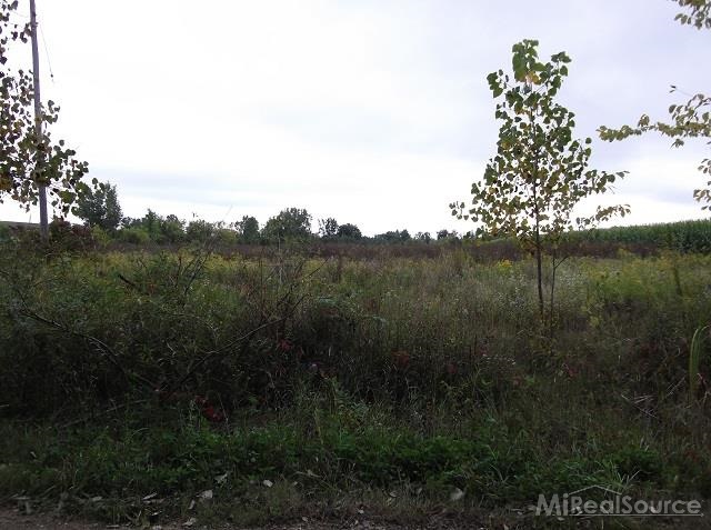 0 Metcalf Road Capac, MI 48014 - Photo 3 of 14