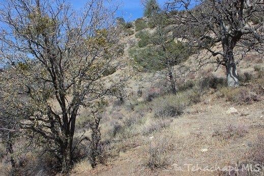 0 Franceschi Road Caliente, CA 93518 - Photo 8 of 17 Gallery Image 8