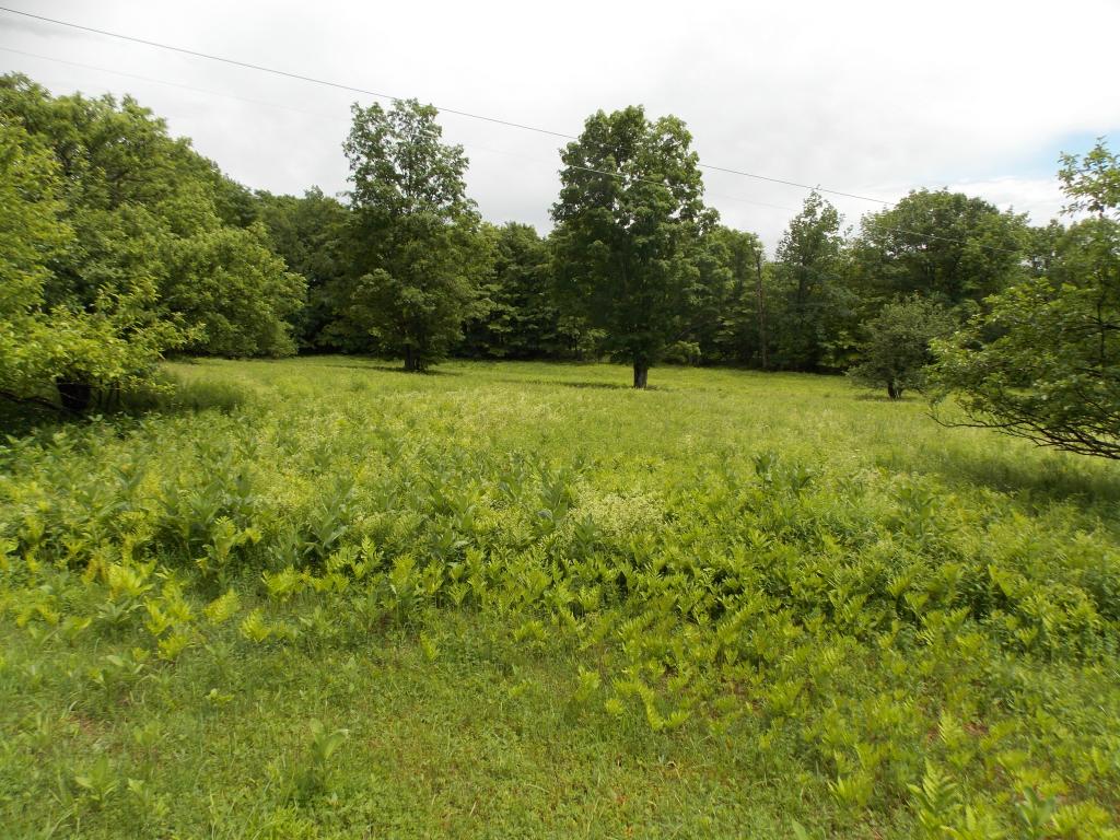 1350 County Road Glover, VT 05875 - Photo 22 of 32