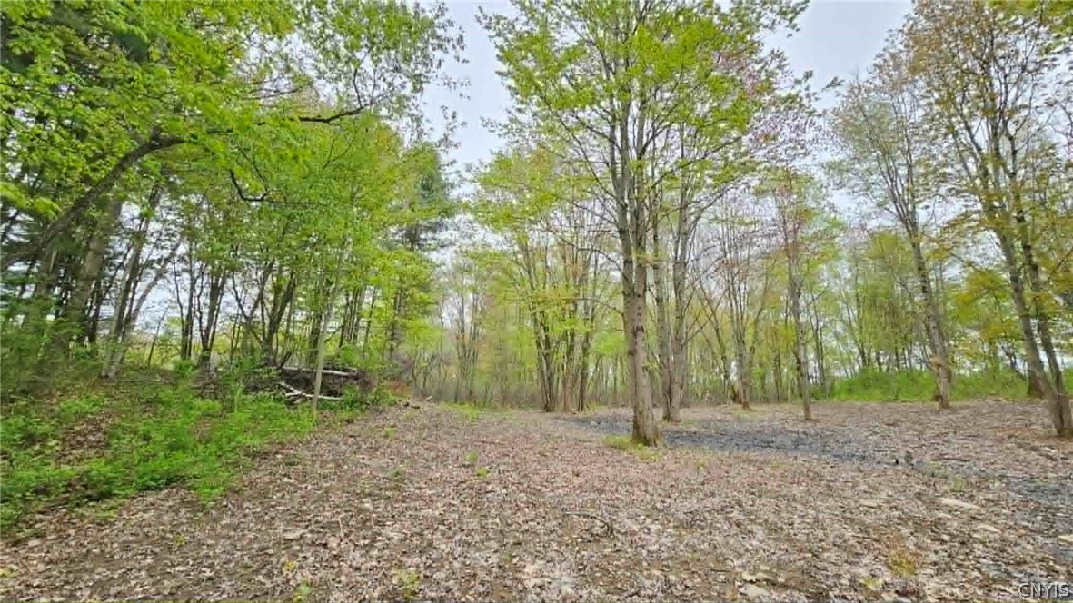 2 Co Rt Pulaski, NY 13142 - Photo 6 of 10