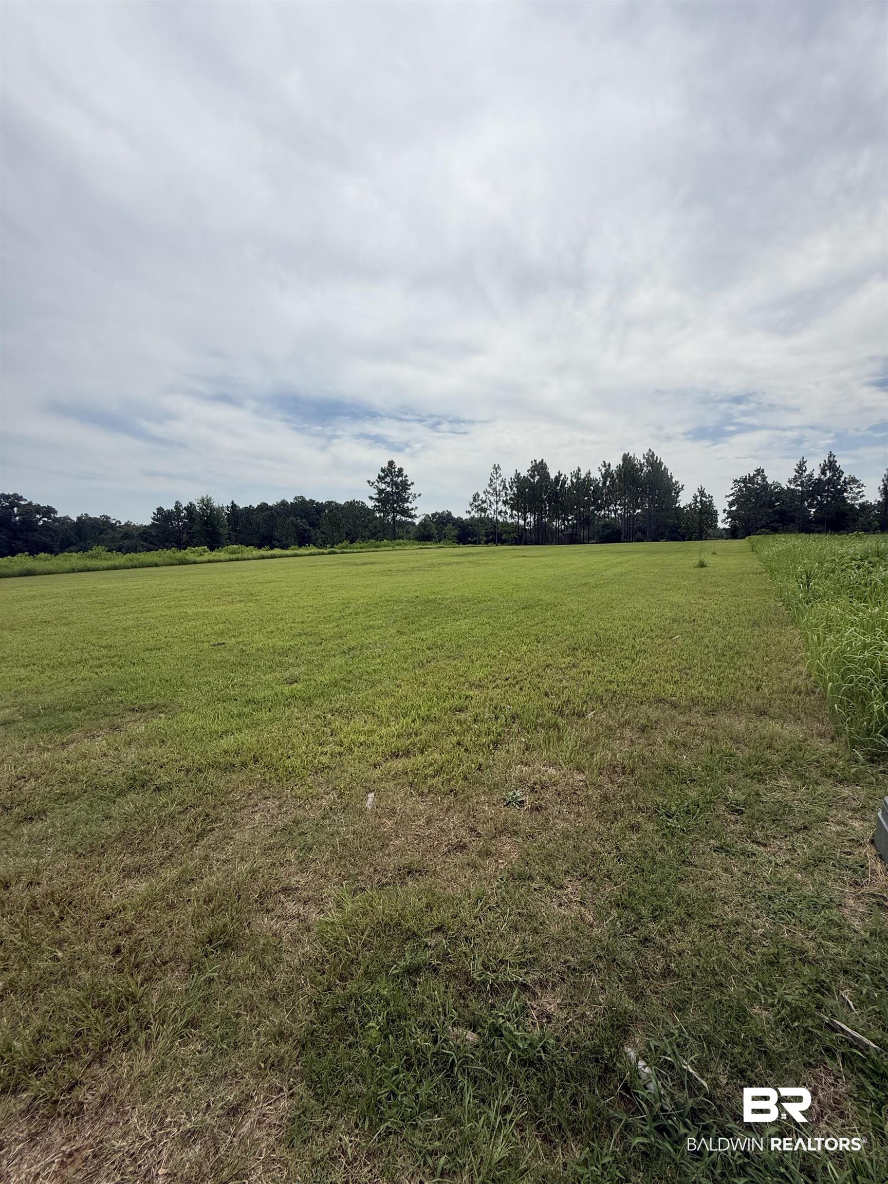 54 Hampton Ridge Mobile, AL 36608 - Photo 12 of 23