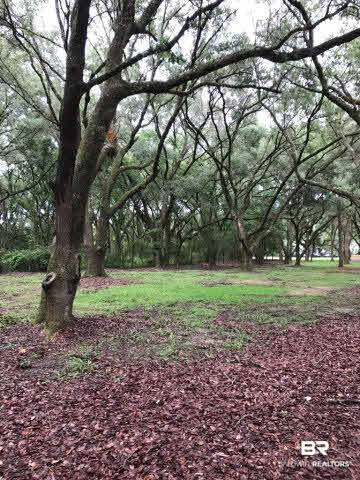 0 Sherman Road Foley, AL 36535 - Photo 6 of 8