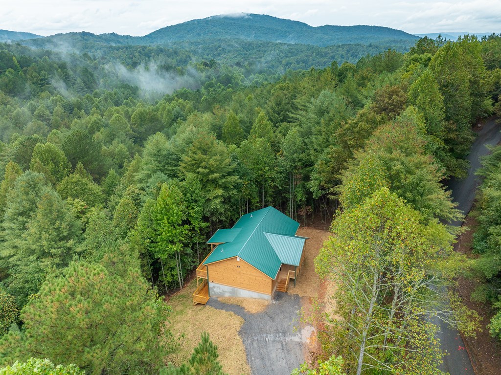 286 Choctaw Rdg Trail Murphy, NC 28906 - Photo 5 of 50