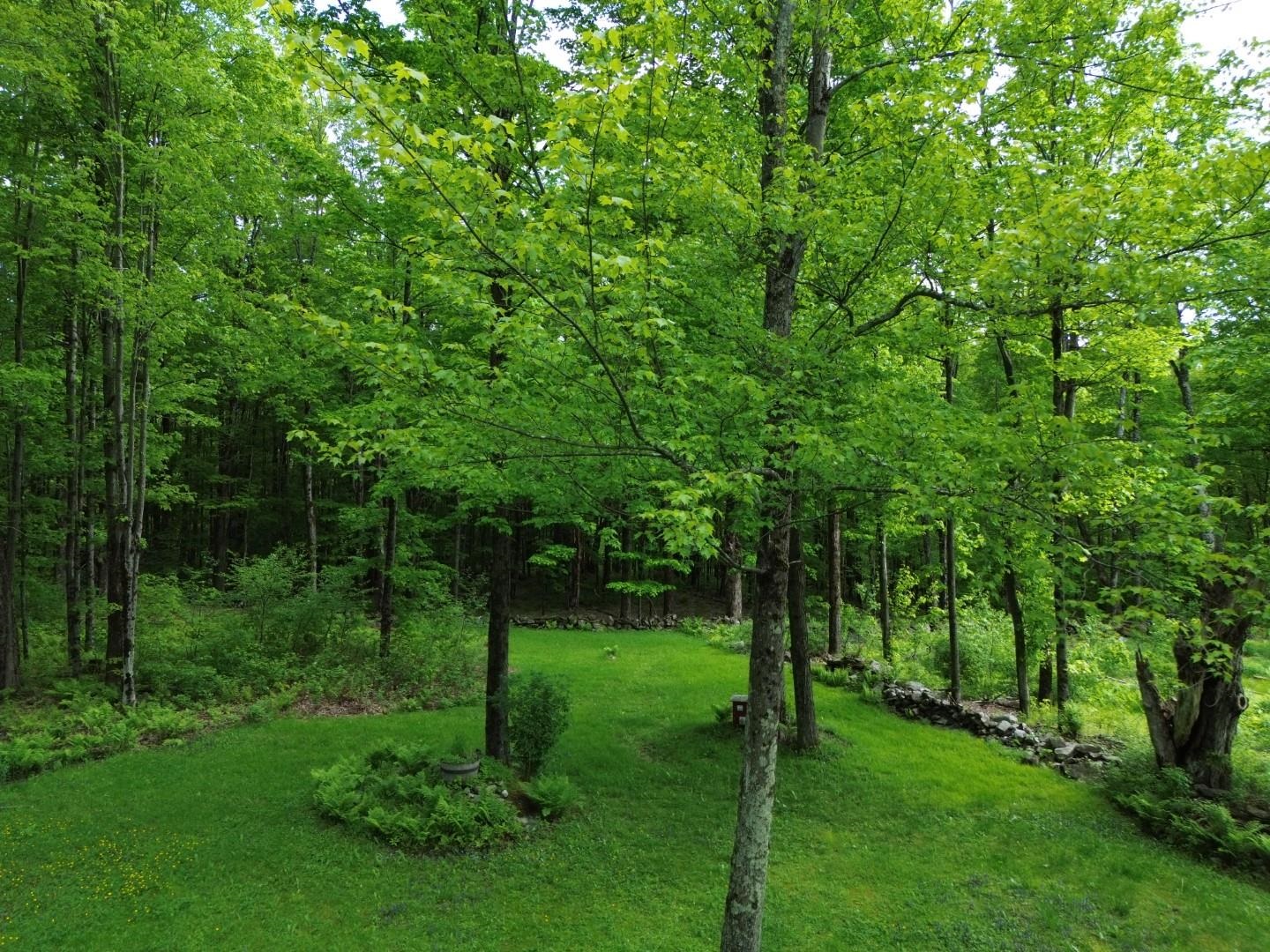 195 Bull Run Road Lincoln, VT 05443 - Photo 3 of 22