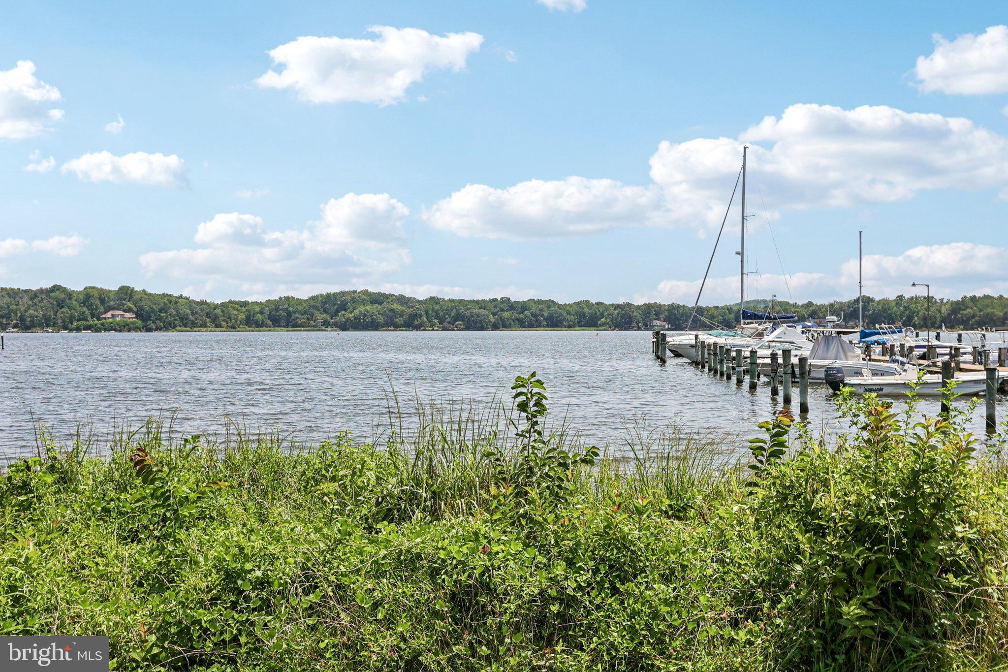 1610 Midland Road Edgewater, MD 21037 - Photo 23 of 27 a view of a lake with houses in the back