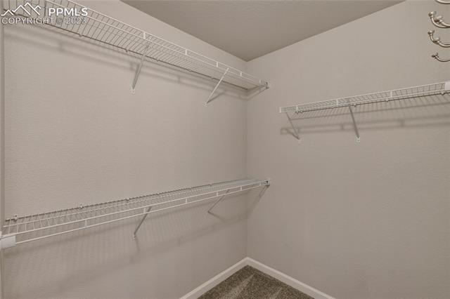 11335 Rill Point Colorado Springs, CO 80921 - Photo 27 of 41