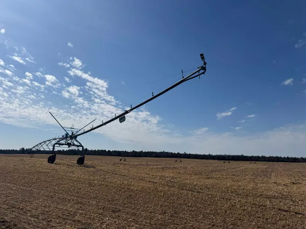 $1,400,000 | 281.68-acres 281.68-acres Buttercup Avenue, Arkdale, WI 54613