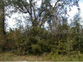 0 Old Bellamy Road High Springs, FL 32643 - Photo 1 of 1