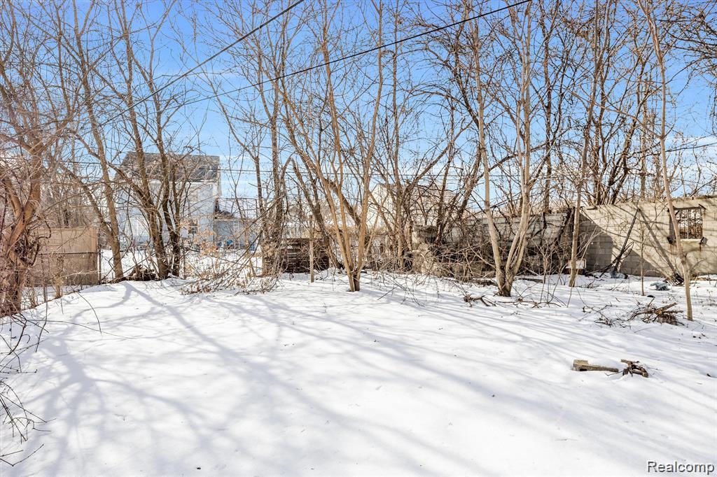 4673 French Road Detroit, MI 48214 - Photo 3 of 20