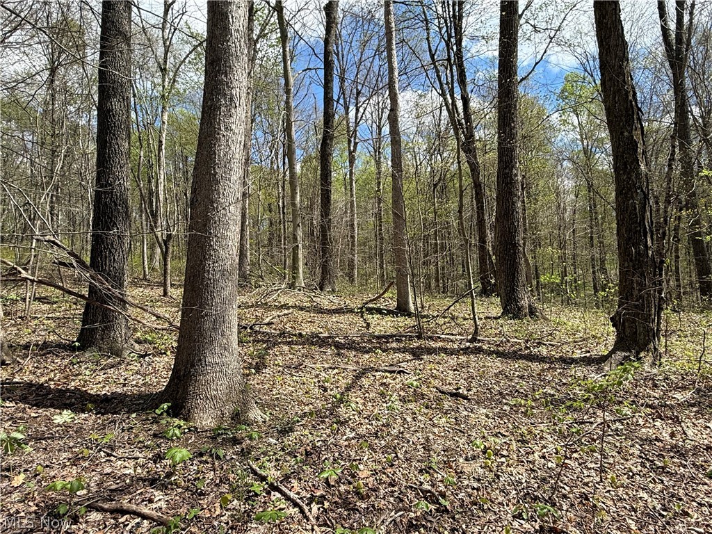 Plainview Road Woodsfield, OH 43793 - Photo 18 of 20