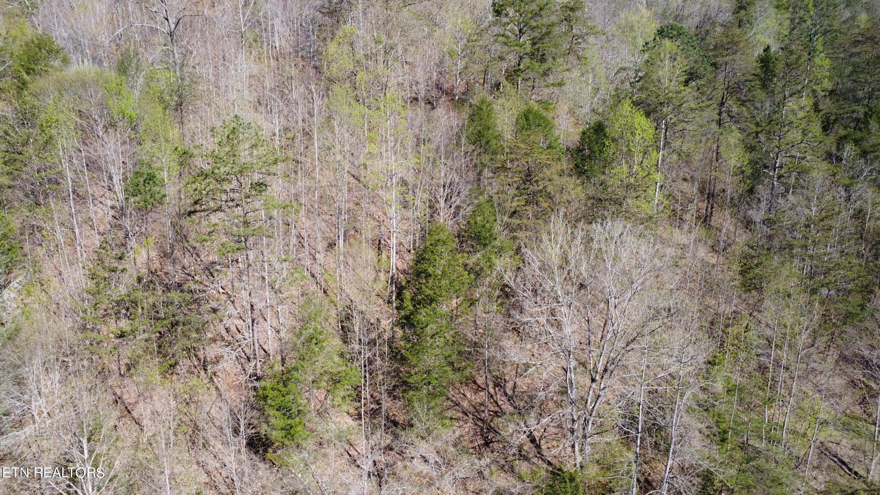 New Hope Road Sneedville, TN 37869 - Photo 13 of 23 DJI_0209