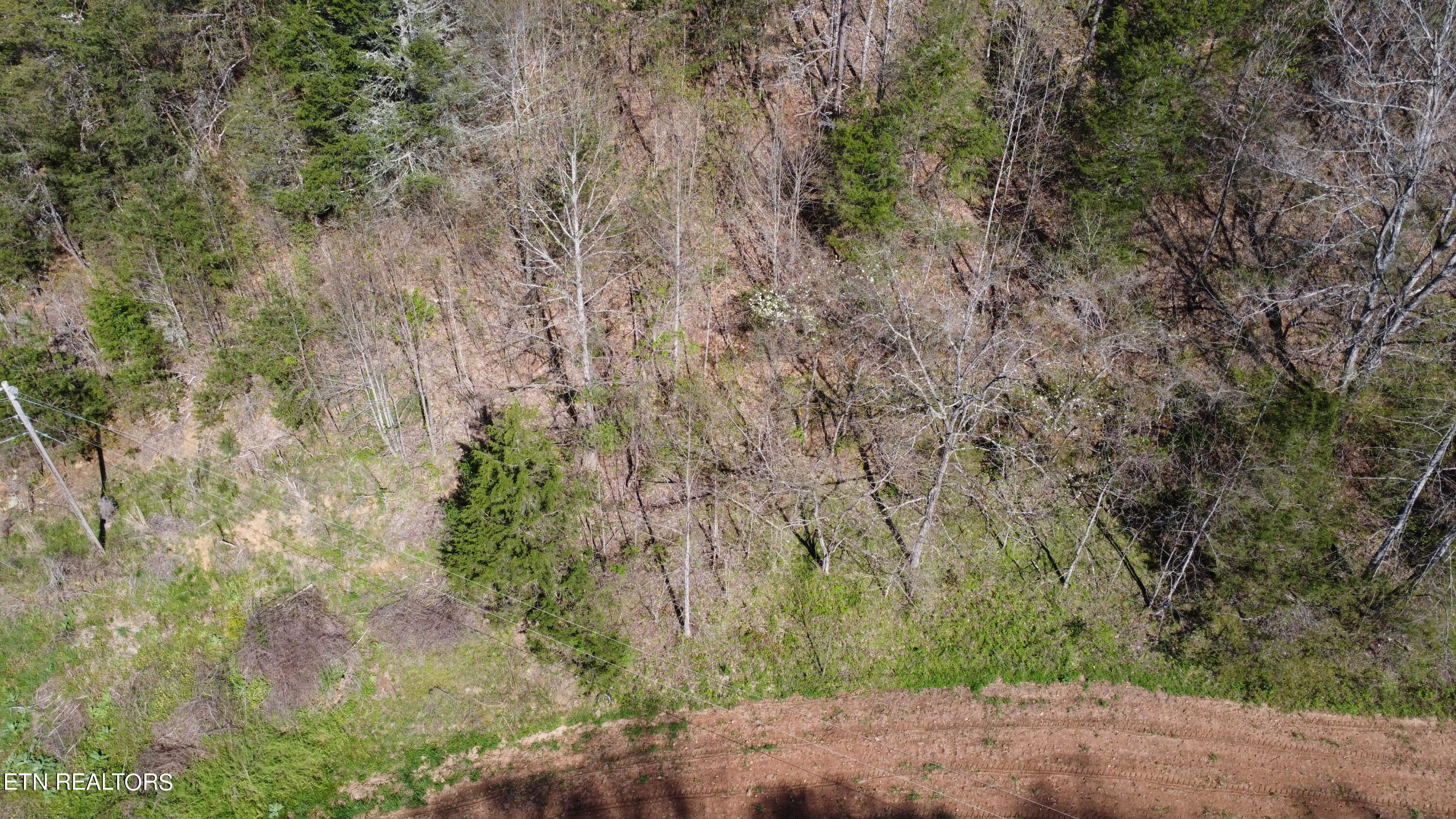 New Hope Road Sneedville, TN 37869 - Photo 18 of 23 DJI_0214