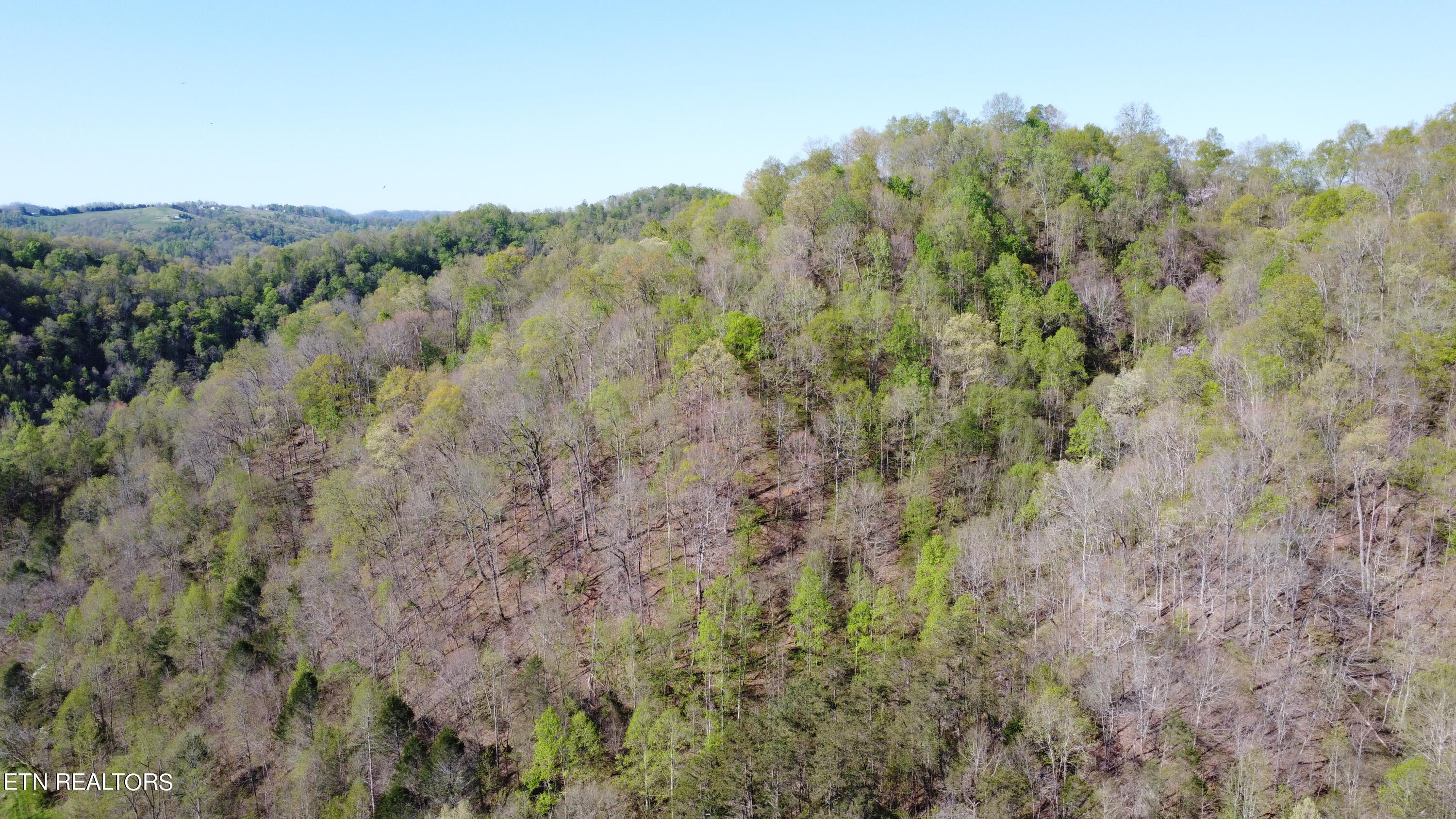 New Hope Road Sneedville, TN 37869 - Photo 21 of 23 DJI_0219