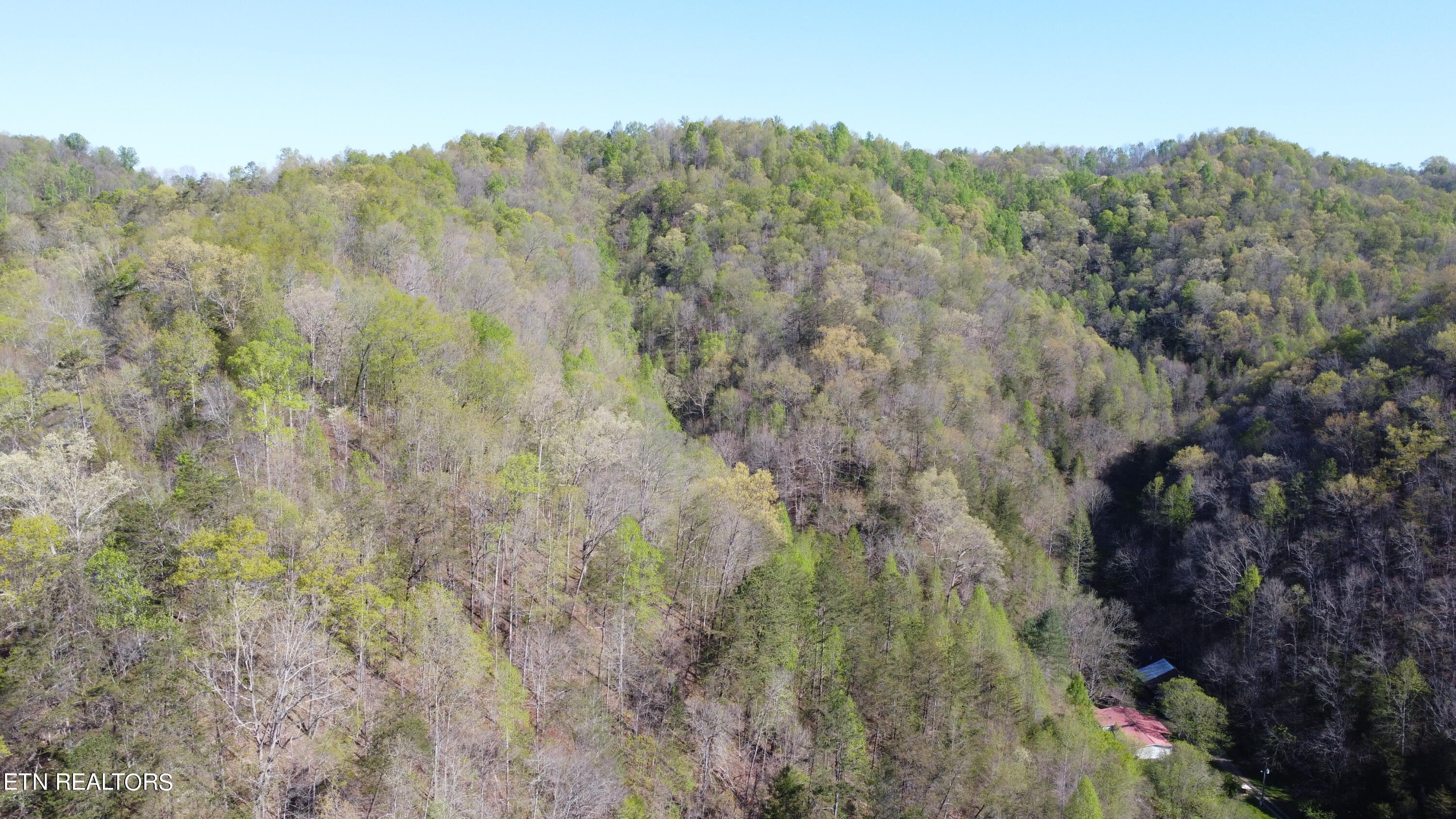 New Hope Road Sneedville, TN 37869 - Photo 22 of 23 DJI_0220