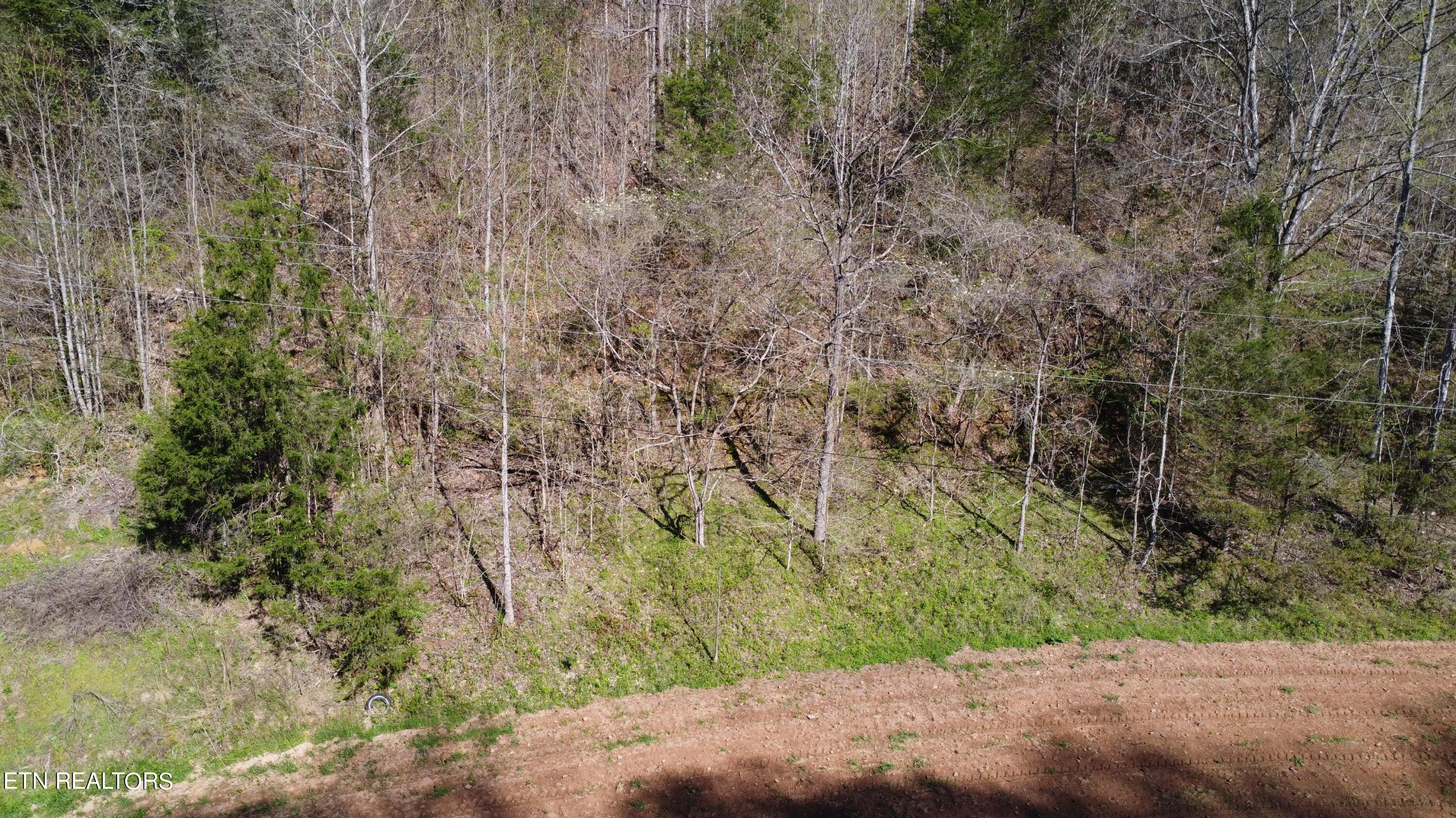 New Hope Road Sneedville, TN 37869 - Photo 9 of 23 DJI_0205