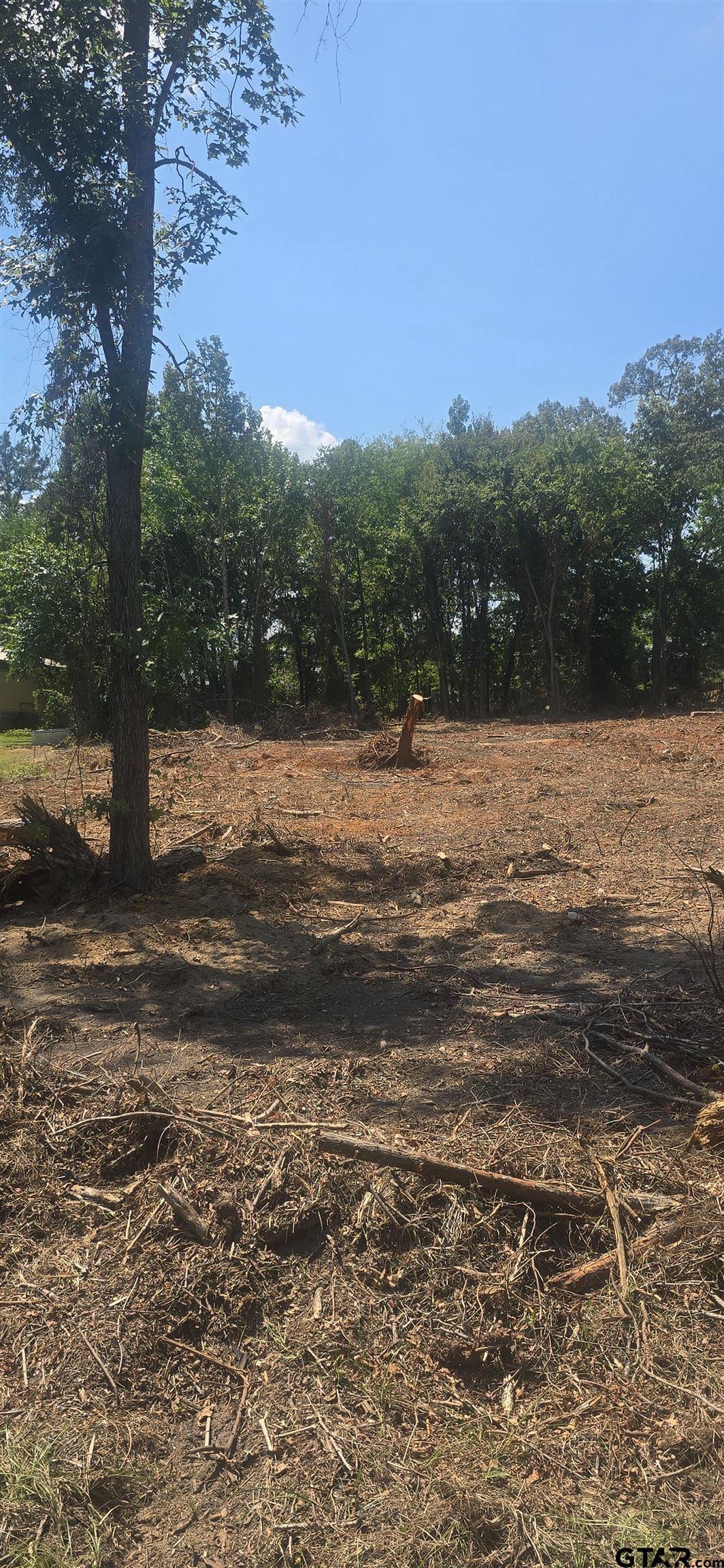 Tbd Cupit Road Longview, TX 75604 - Photo 2 of 2