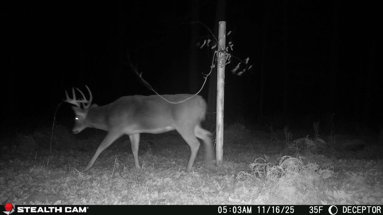 Springbrook Road Tigerton, WI 54486 - Photo 9 of 56