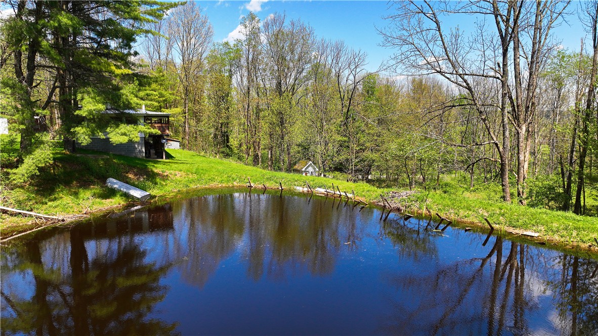 480 Buckley Hill Road Coventry, NY 13730 - Photo 32 of 39