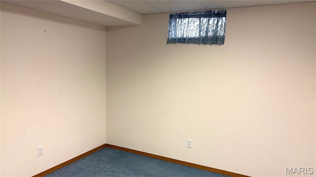 11890 Murphysboro Road Campbell Hill, IL 62916 - Photo 19 of 46