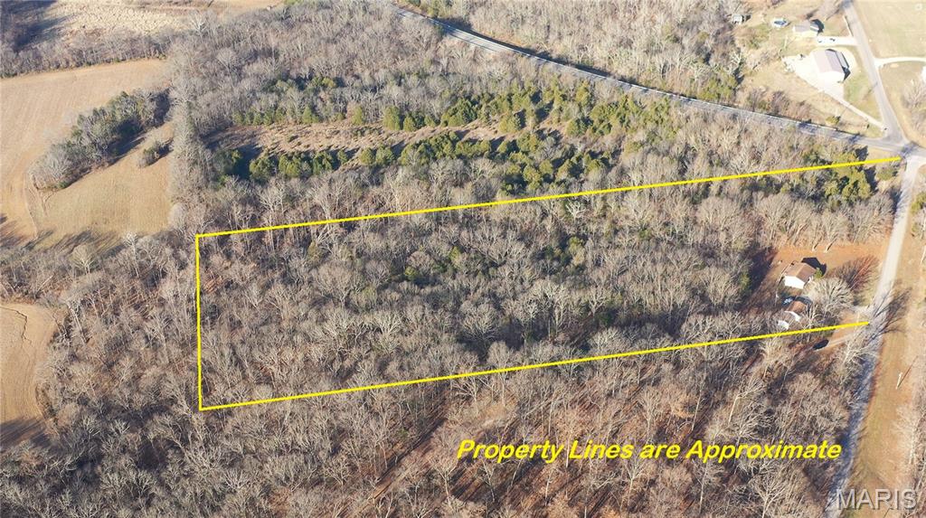 11890 Murphysboro Road Campbell Hill, IL 62916 - Photo 2 of 46