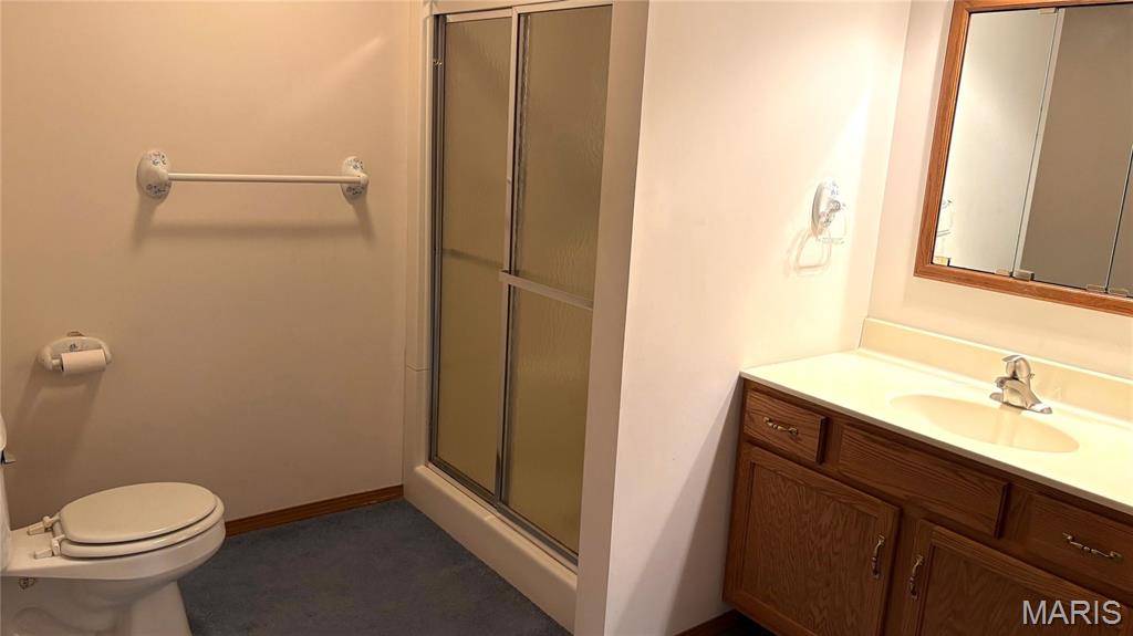 11890 Murphysboro Road Campbell Hill, IL 62916 - Photo 21 of 46