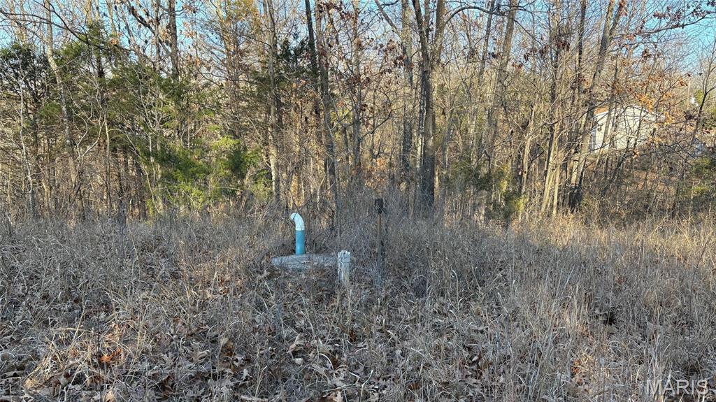 11890 Murphysboro Road Campbell Hill, IL 62916 - Photo 33 of 46