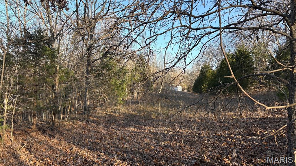 11890 Murphysboro Road Campbell Hill, IL 62916 - Photo 36 of 46